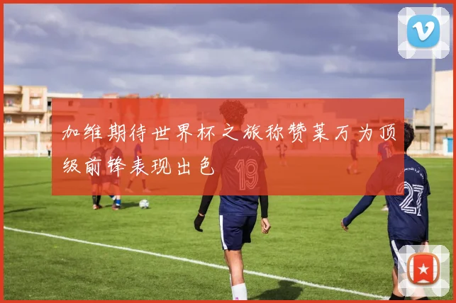 加维期待世界杯之旅称赞莱万为顶级前锋表现出色