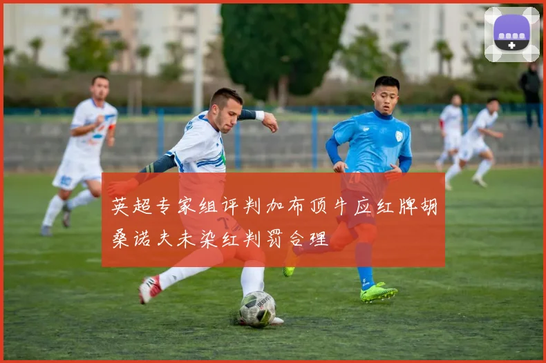 英超专家组评判加布顶牛应红牌胡桑诺夫未染红判罚合理